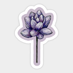 Blue Lotus flower Sticker